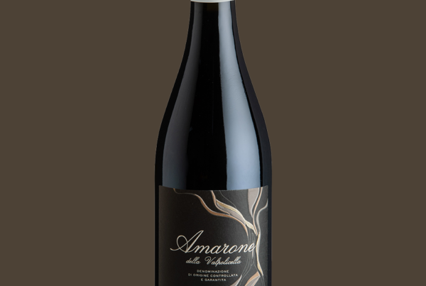Amarone La Vigna